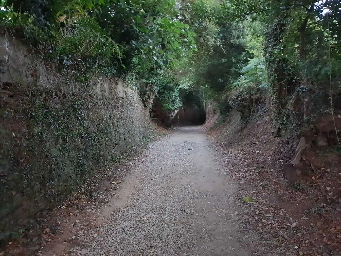 Călătoria pe Camino de Santiago 2017 – aici a luat naștere ideea Denticor